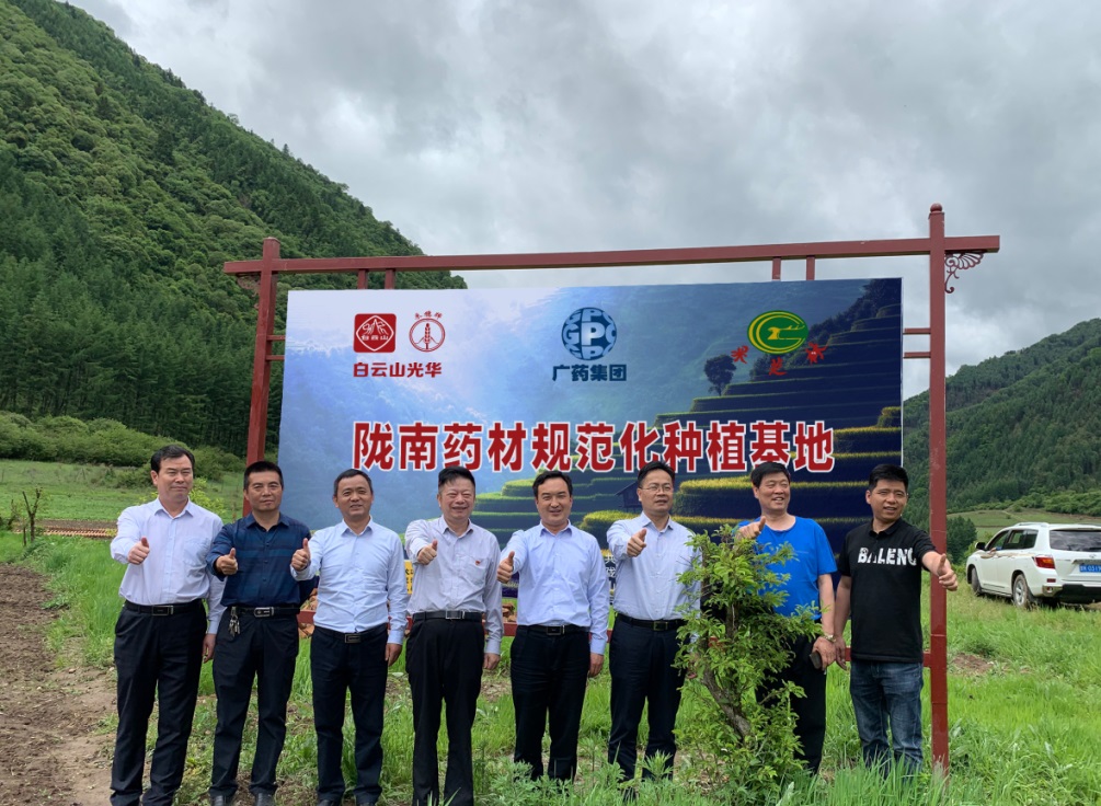 藥材好，藥才好 ——白云山小柴胡顆粒北柴胡規(guī)范化種植基地正式揭牌！