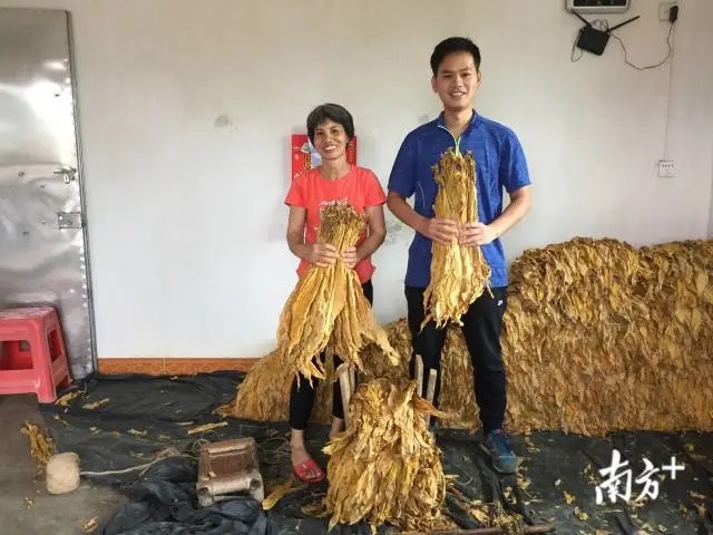 扶貧一線燃燒青春，“90后”第一書記為貧困村打造“不走”的工作隊