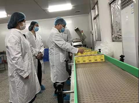 齊心抗疫，確保質(zhì)量！光華公司振隆廠外車間接受廣藥集團生產(chǎn)監(jiān)督保障小組工作督導(dǎo)