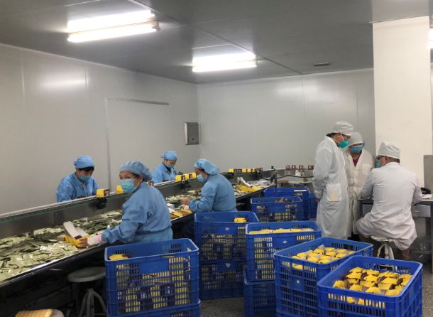 【初心如磐，使命在肩】光華第三黨支部組織員工提前復(fù)工保障生產(chǎn)